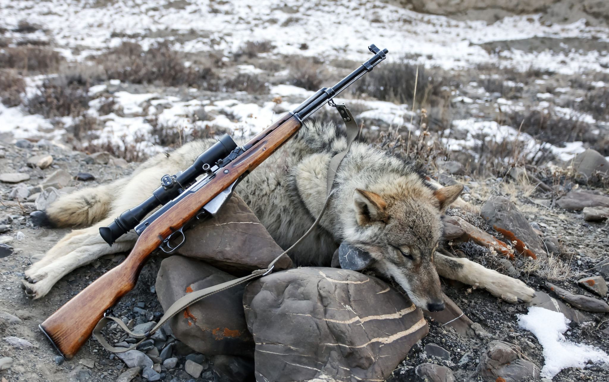 How Much Is A Fine For Hunting Without A License